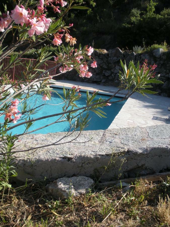 Gite Mas Des Combes Mandagout Extérieur photo